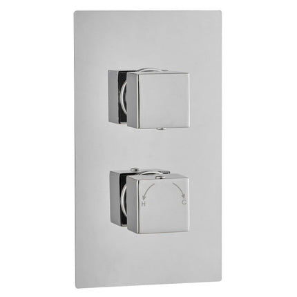 Edge Square Concealed Thermostatic 2 Handle Single Outlet Waterworks Showers Waterworks Bathrooms 
