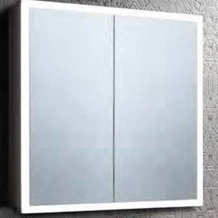 EXTEND - DOUBLE DOOR RECESSED CAB 1000 Clearance Mirror Waterworks Bathrooms 