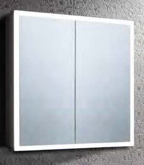 EXTEND - DOUBLE DOOR RECESSED CAB 1000 Clearance Mirror Waterworks Bathrooms 