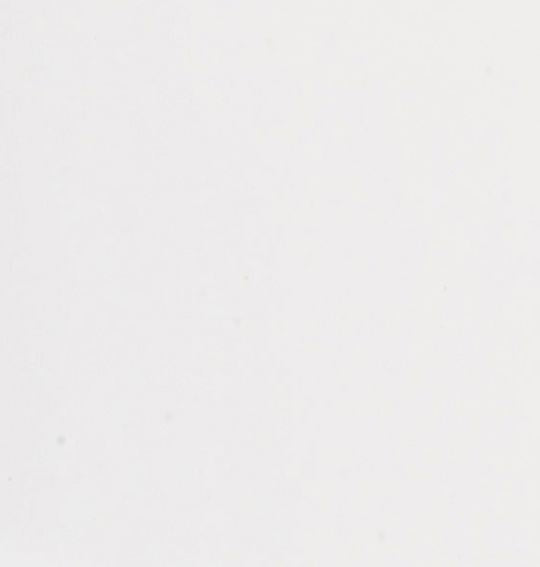 NEPTUNE 1M PANEL WHITE GLOSS CO4010040100 Shower Enclosure Waterworks Bathrooms 