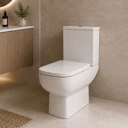 Rimless Toilet with Soft Close Seat Clearance Toilet Waterworks Bathrooms 