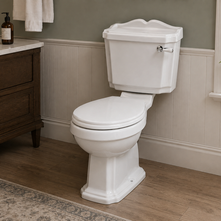 Traditional Toilet with soft Close Seat